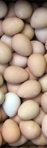 Kienyeji Eggs thumbnail 1