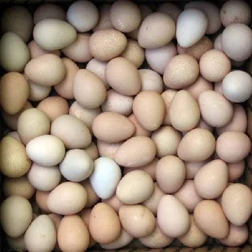 Fresh Kienyeji Eggs from Tradly