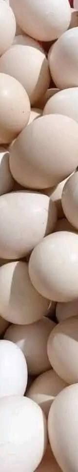 Kienyeji Eggs thumbnail 2
