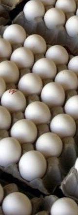 Kienyeji Eggs thumbnail 3