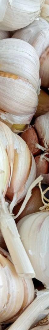 Local Garlic thumbnail 2