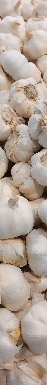 Local Garlic thumbnail 1