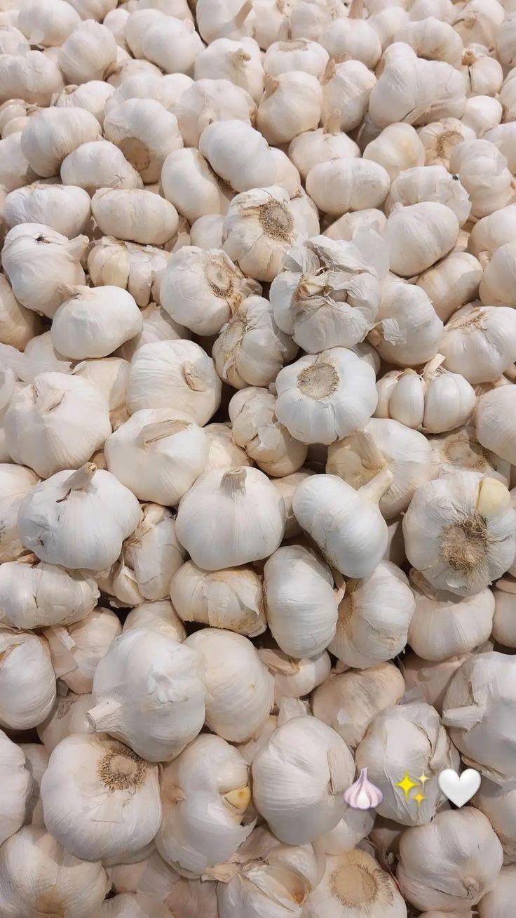 Fresh Local Garlic from Tradly