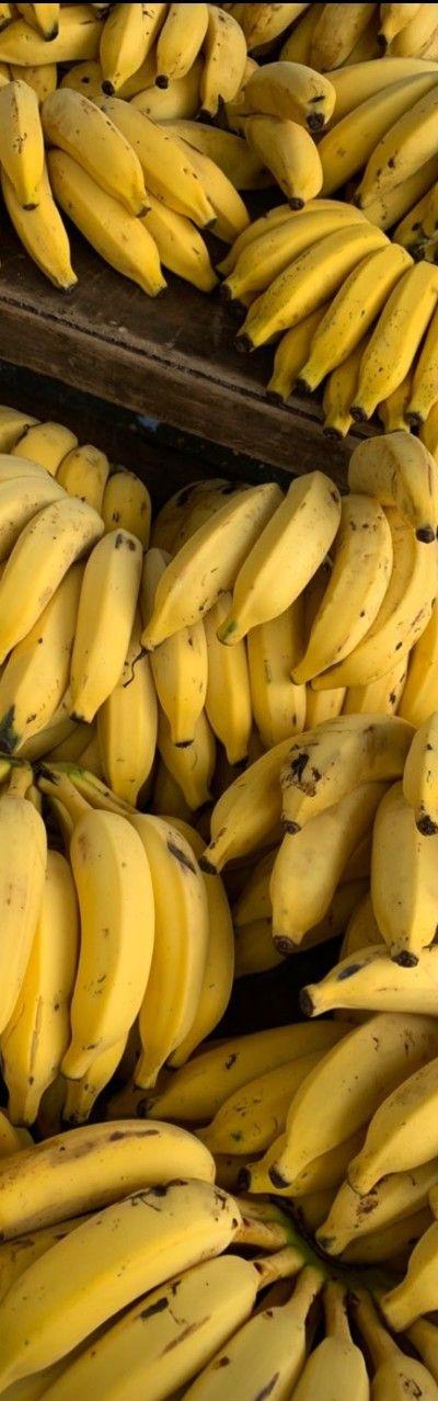 Fresh Ripe Bananas from Tradly