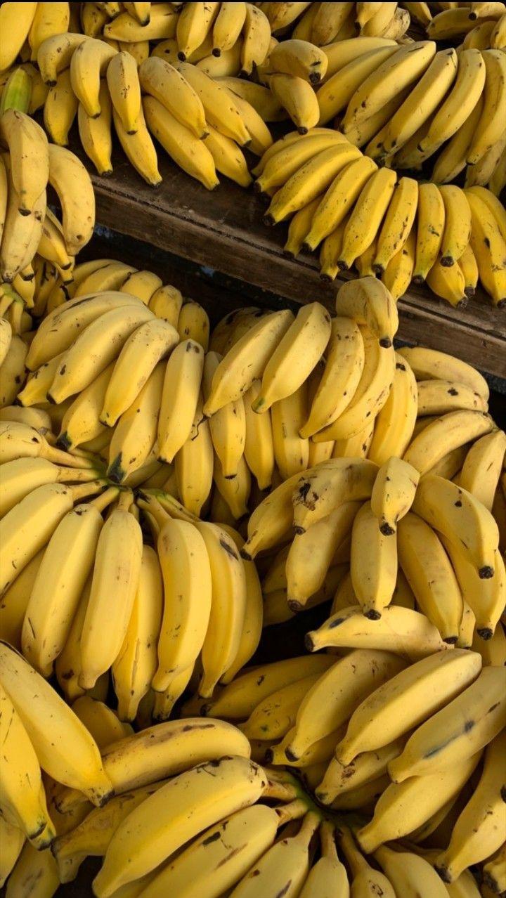 Fresh Ripe Bananas from Tradly