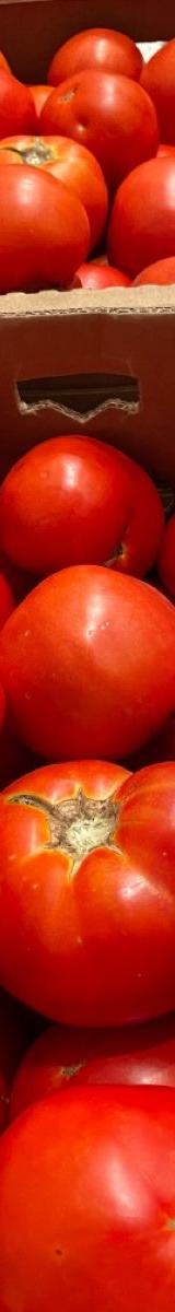 Tomatoes thumbnail 3
