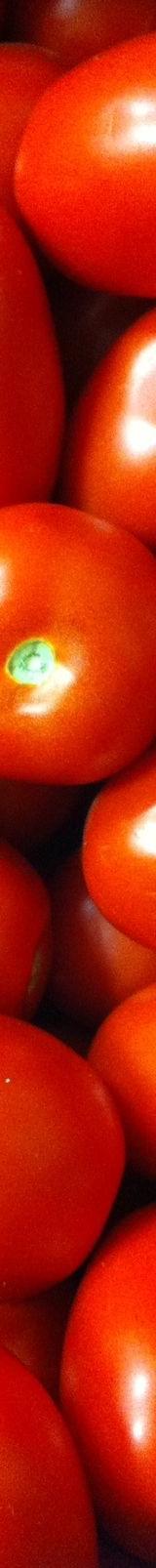 Tomatoes thumbnail 1
