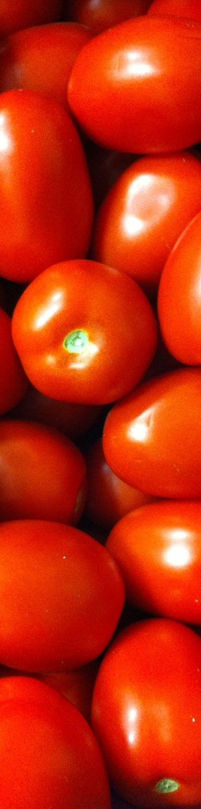 Fresh Tomatoes from Tradly