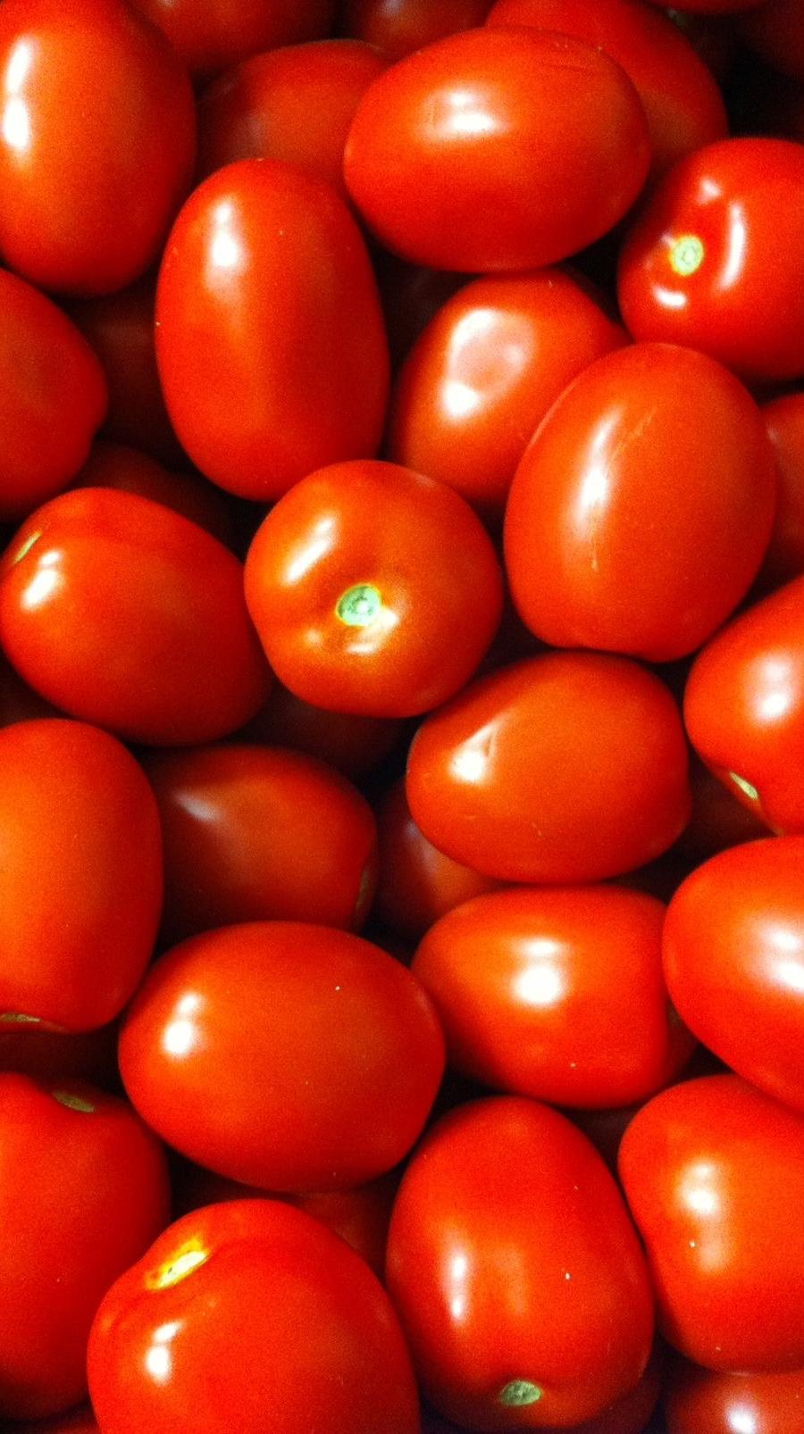 Fresh Tomatoes from Tradly