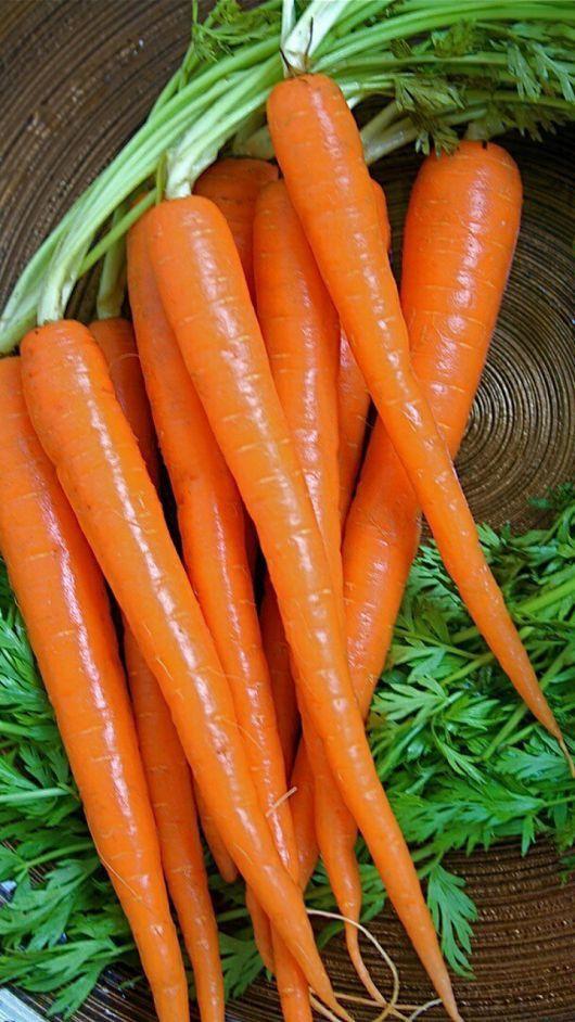 Fresh Carrots from Tradly