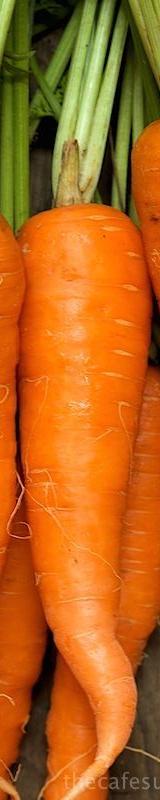 Carrots thumbnail 3