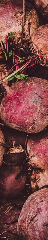 Beetroots thumbnail 1