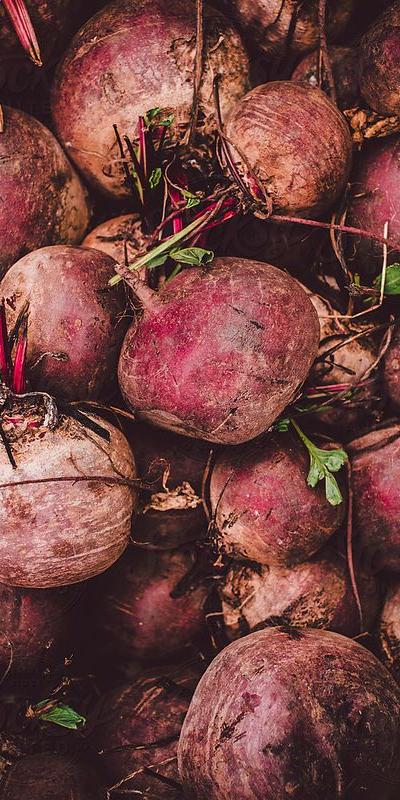 Fresh Beetroots from Tradly