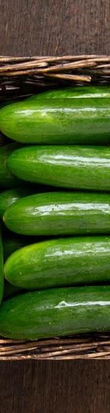 Cucumber thumbnail 1