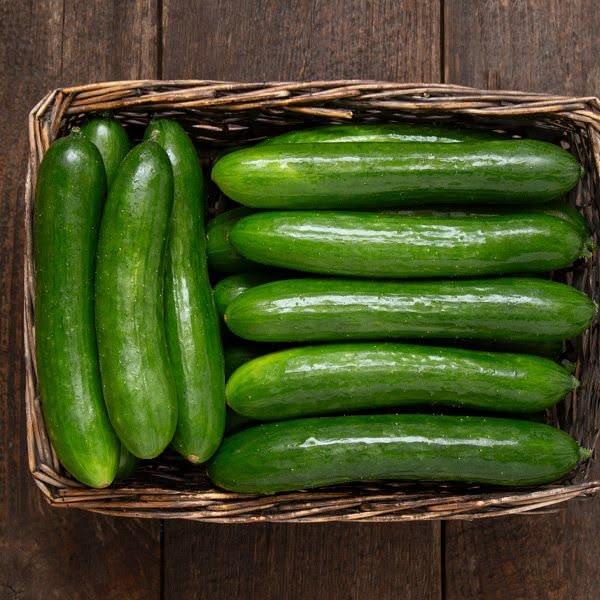 Fresh Cucumber from Tradly
