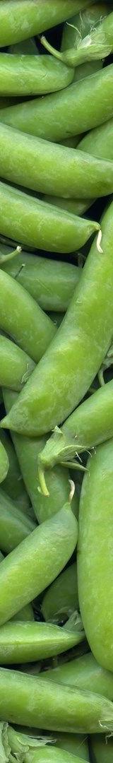 Green Peas (Minji) thumbnail 3