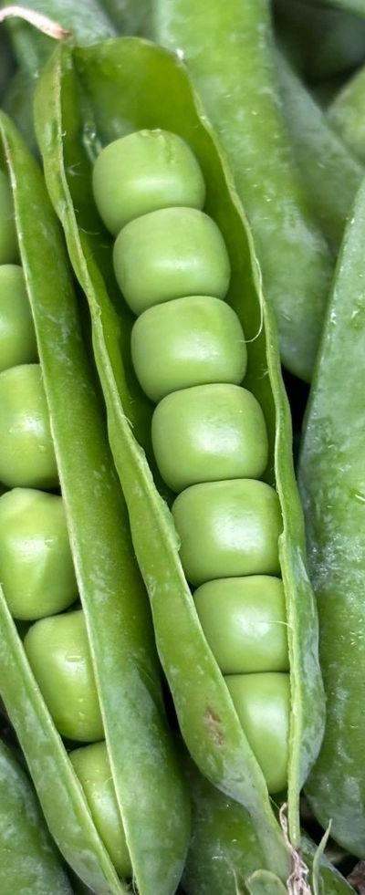 Fresh Green Peas (Minji) from Tradly