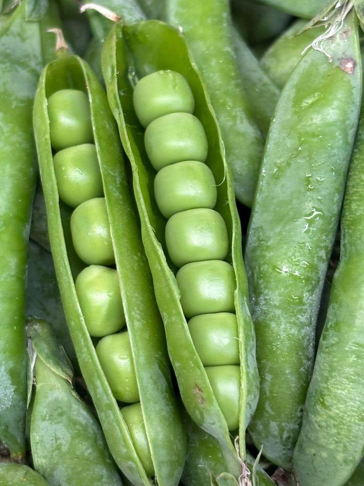Fresh Green Peas (Minji) from Tradly