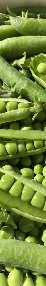 Green Peas (Minji) thumbnail 2