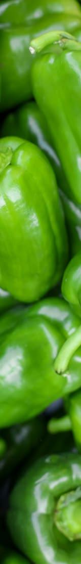 Green Pepper thumbnail 2