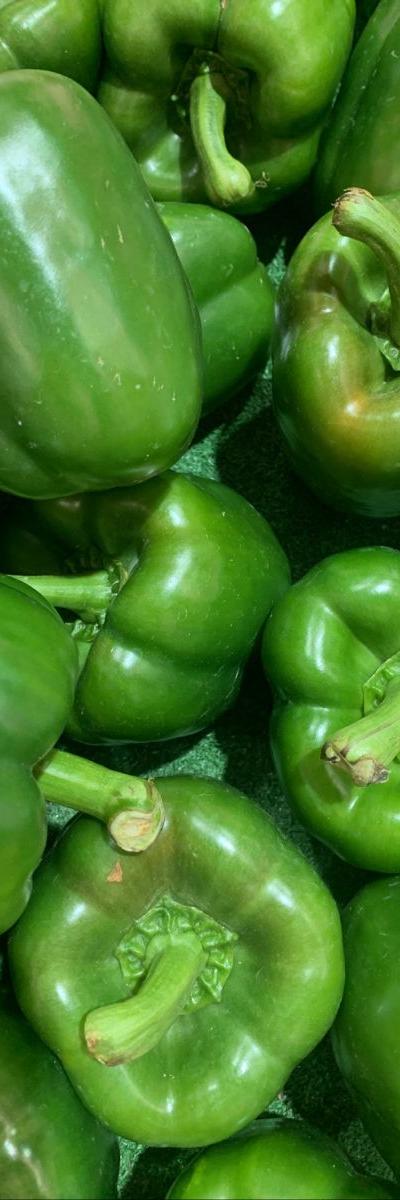 Fresh Green Pepper from Tradly