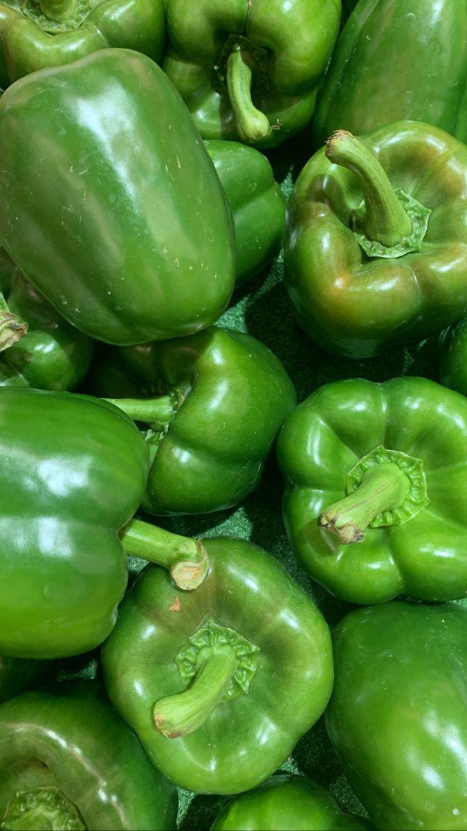 Fresh Green Pepper from Tradly