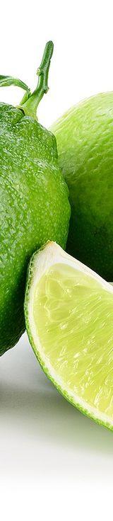 Lime thumbnail 4