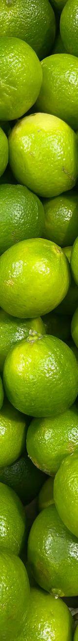 Lime thumbnail 2