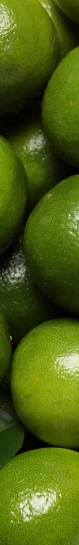 Lime thumbnail 1