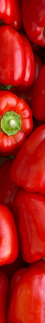 Red Hoho (Red Capsicum) thumbnail 3