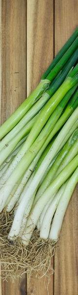 Spring Onions thumbnail 1