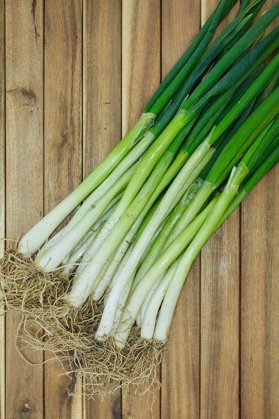 Fresh Spring Onions from Tradly