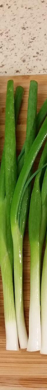 Spring Onions thumbnail 3
