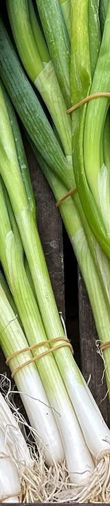 Spring Onions thumbnail 2
