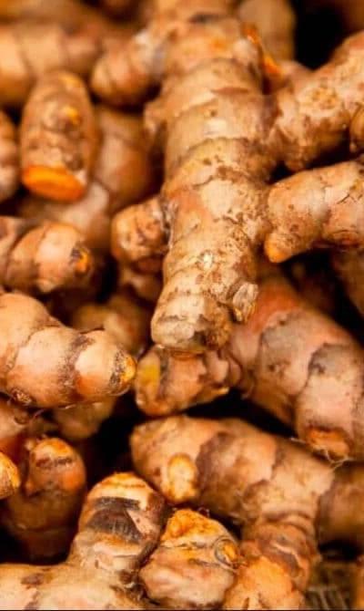 Fresh Turmeric Root (Manjano) from Tradly