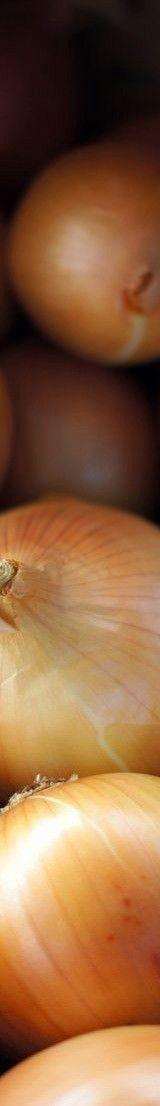 Yellow Onions thumbnail 1