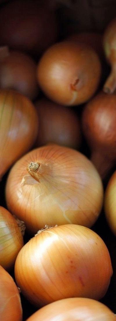 Fresh Yellow Onions from Tradly