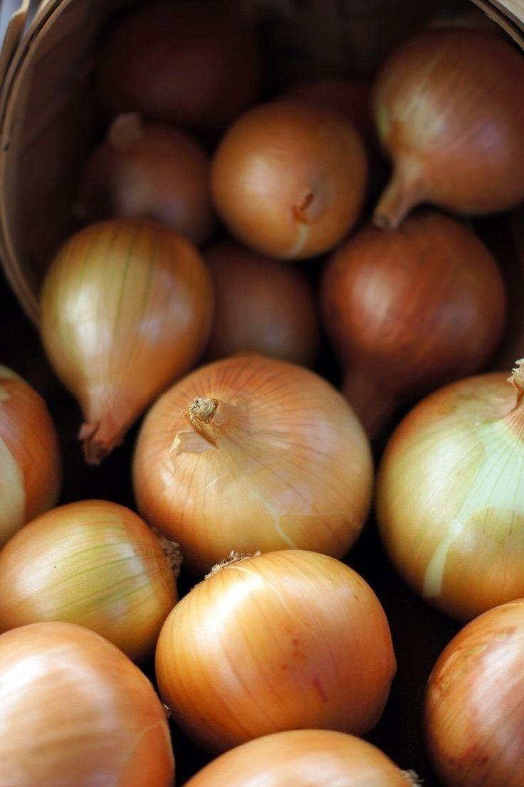 Fresh Yellow Onions from Tradly