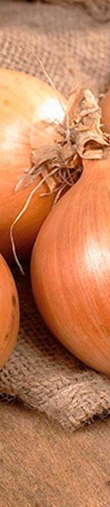Yellow Onions thumbnail 3