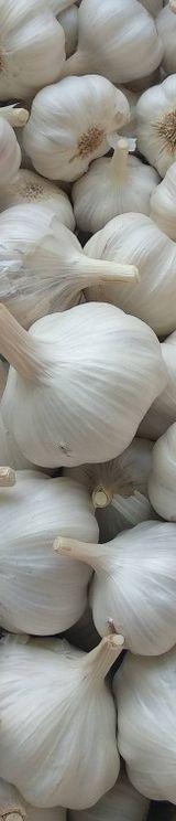Imported Garlic thumbnail 1