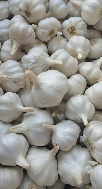 Fresh Imported Garlic from Tradly