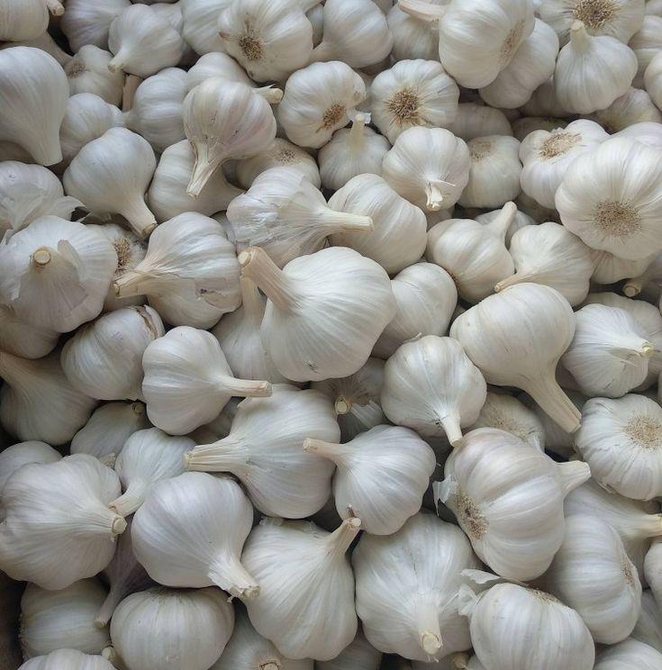 Fresh Imported Garlic from Tradly