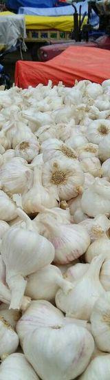 Imported Garlic thumbnail 2