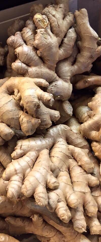 Fresh Ginger (Tangawizi) from Tradly