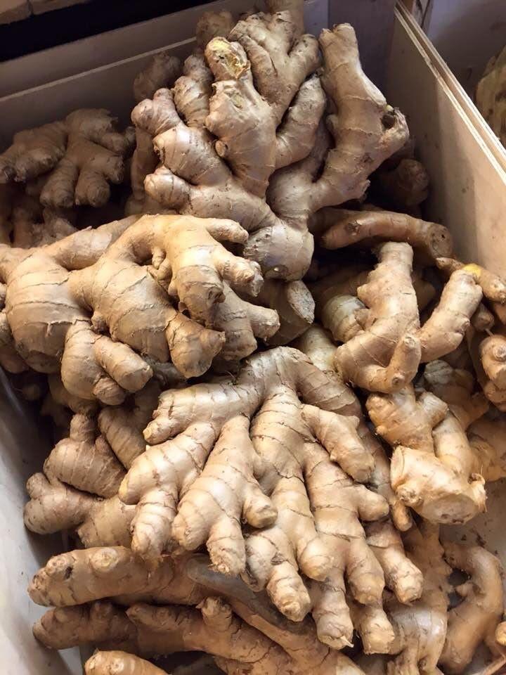 Fresh Ginger (Tangawizi) from Tradly
