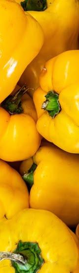 Yellow Hoho (Yellow Capsicum) thumbnail 1