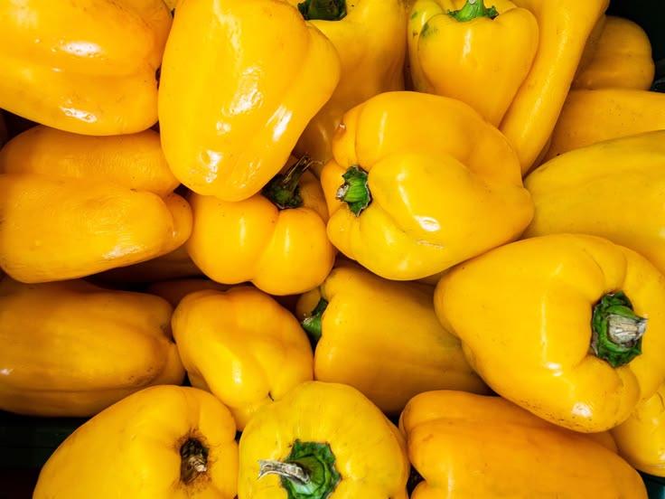 Fresh Yellow Hoho (Yellow Capsicum) from Tradly
